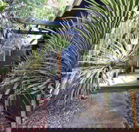 Lornebeach Apartments - Sunshine Coast Tourism