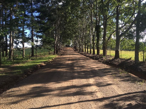 Blackwattle Farm B&B And Farm Stay - Holiday Sunshine Coast 3
