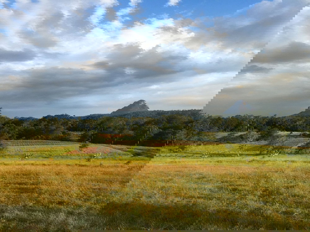 Coochin Creek QLD Sunshine Coast Tourism