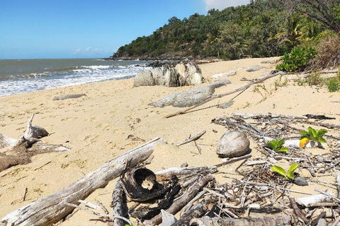 Turtle Cove Beach Resort Adults Only LGBTQIA & Allies - Sunshine Coast Tourism 2