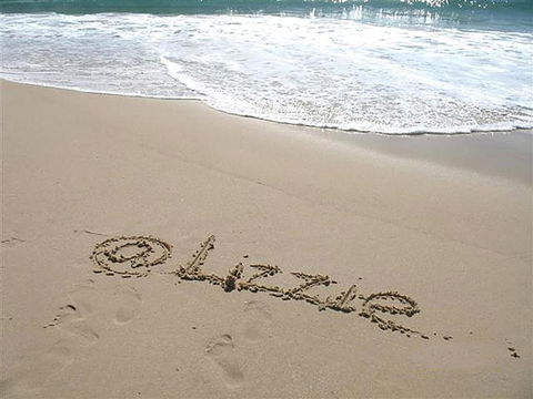 AtLIZZIE - Holiday Sunshine Coast 1