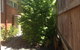 Thornleigh Garden View Comfortable & Tranquil - thumb 7