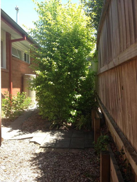 Thornleigh Garden View Comfortable & Tranquil - Sunshine Coast Tourism 7