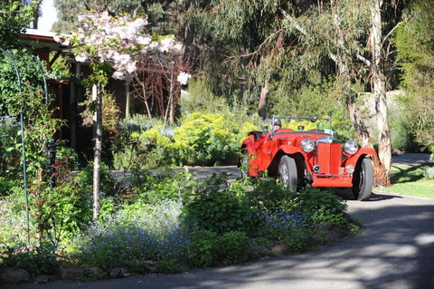 Wintarni Olives Cottage - Holiday Sunshine Coast 1