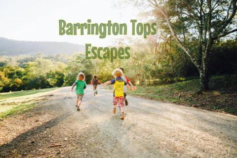 Grand View Holiday Home - Sunshine Coast Tourism 2