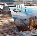 Salt Box Hideaway - Sunshine Coast Tourism