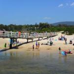 Beachfront 4 25 Willow Street - Sunshine Coast Tourism 0