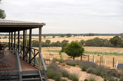 Gilgraves Vineyard Farmstay - Holiday Sunshine Coast 2