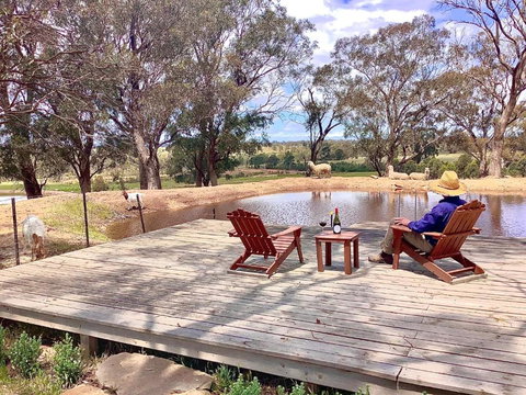 Gilgraves Vineyard Farmstay - Holiday Sunshine Coast 6