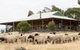 Gilgraves Vineyard Farmstay - thumb 0
