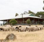 Gilgraves Vineyard Farmstay - Holiday Sunshine Coast