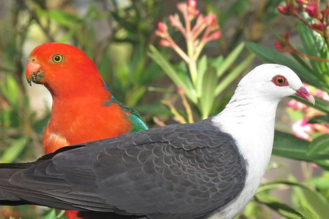 Valley View Luxury Retreat - Holiday Sunshine Coast 5