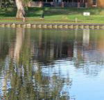 Wentworth Wharf B  B - Holiday Sunshine Coast