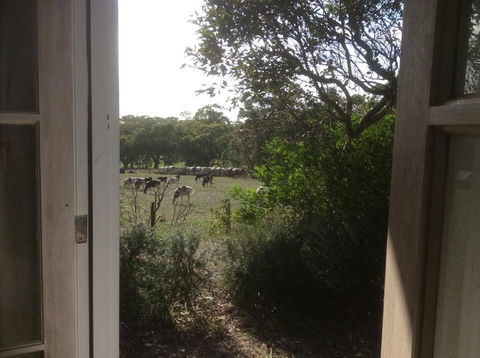 Aashay B & B - Holiday Sunshine Coast 3