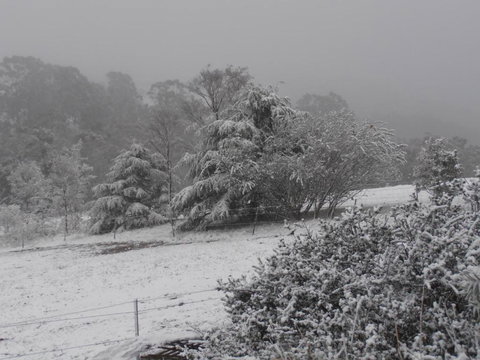 Springmead Rustic Cabin - Sunshine Coast Tourism 6