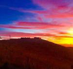 One Tree Hill - Holiday Sunshine Coast