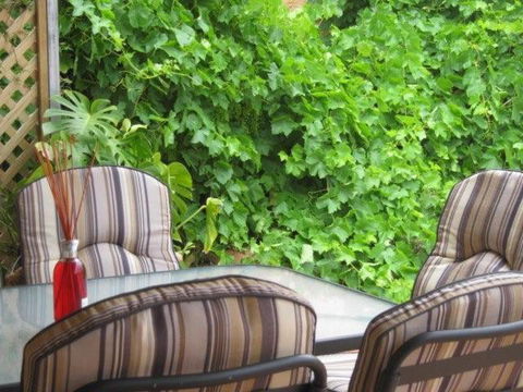 Amalie Cottage Waikerie Unit 1 - Holiday Sunshine Coast 6