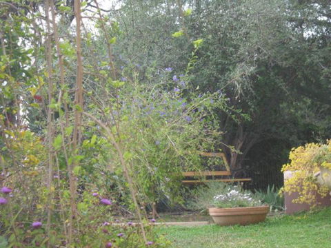 Amalie Cottage Waikerie Unit 1 - Holiday Sunshine Coast 5