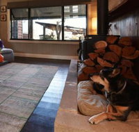 Millfield Eco Lodge with views  inside / outside hangouts - Holiday Sunshine Coast