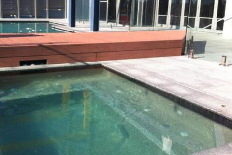 Azul Del Mar - Holiday Sunshine Coast 5