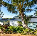 Cylinder Palms - Sunshine Coast Tourism