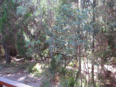 The Sanctuary - Holiday Sunshine Coast 3