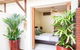 Bali Beach Villa Port Douglas - thumb 0