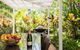 Port Douglas Mirage Villa 408 (4 BR) - thumb 4