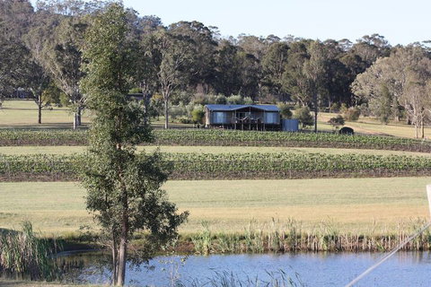 Blackwattle Luxury Retreats - Holiday Sunshine Coast 1