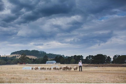 Rooks Edge - Sunshine Coast Tourism 2