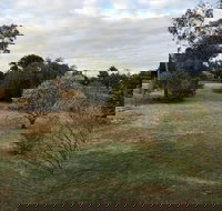 Young Budget Accommodation - Sunshine Coast Tourism