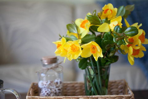 Salt Breeze - Sunshine Coast Tourism 2