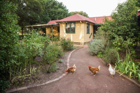 Malakai Farm Stay - Sunshine Coast Tourism 2
