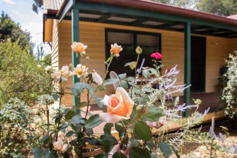 Malakai Farm Stay - Sunshine Coast Tourism 3