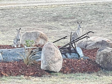 R & R On The Ravine - Sunshine Coast Tourism 5