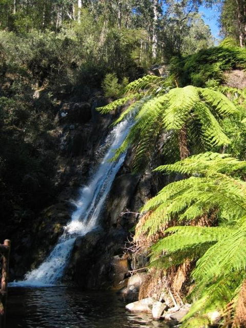 RiverCottage Selfcontained - Holiday Sunshine Coast 2
