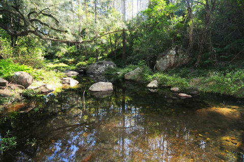 Alcheringa Cottage - Holiday Sunshine Coast 5