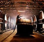 Pieter van Gent Winery  Vineyard - Holiday Sunshine Coast