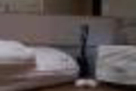 Skymirror Villa - Holiday Sunshine Coast 2