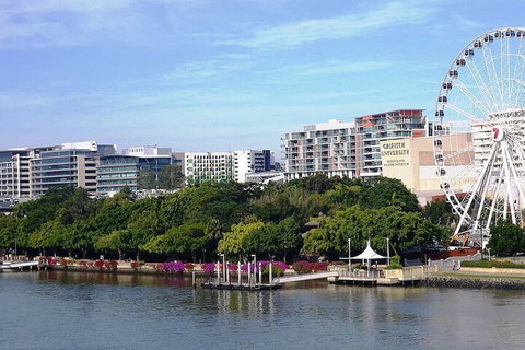 Rochedale Spacious Holiday 4 Bedrooms House Qro009 - Holiday Sunshine Coast 6