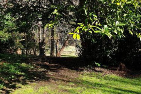 Redruth 2 Bedroom Cottage Situated In Wandiligong - Sunshine Coast Tourism 4