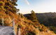 BIMBADEEN On BUSTY Â· BIMBADEEN On BUSTY Spectacular Views & Wifi - thumb 5