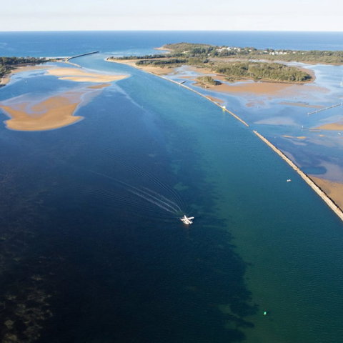 The Seabird - Holiday Sunshine Coast 0