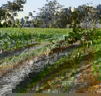 Renovated Cottage Aberdare Hunter Valley - Holiday Sunshine Coast