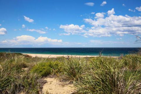 Sea Dream Pet Friendly 1 Min Walk To Beach - Holiday Sunshine Coast 5