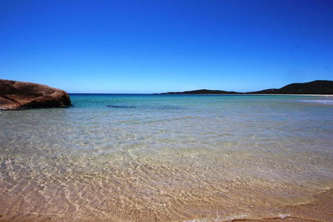 A Reel Teal - Holiday Sunshine Coast 3