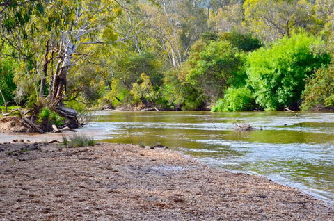 Clyde Cottage - Sunshine Coast Tourism 1
