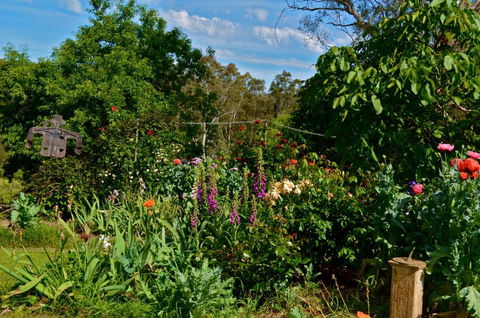 Clyde Cottage - Sunshine Coast Tourism 3