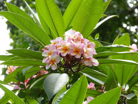 The Stables - Sunshine Coast Tourism 6