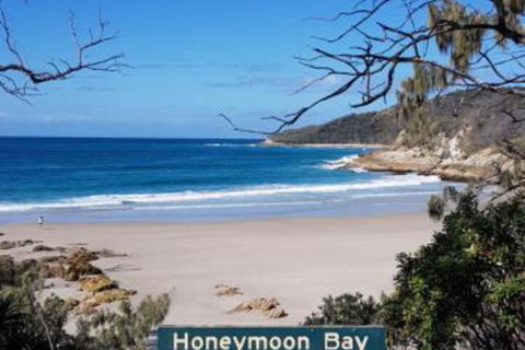 The Boarding House - Sunshine Coast Tourism 4
